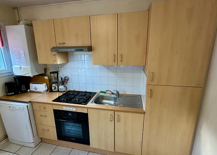 Le Therminus 42 - Le Dore 8pers Mont-Dore