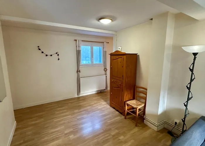 Appartement Le Therminus 42 - Le Dore 8pers *