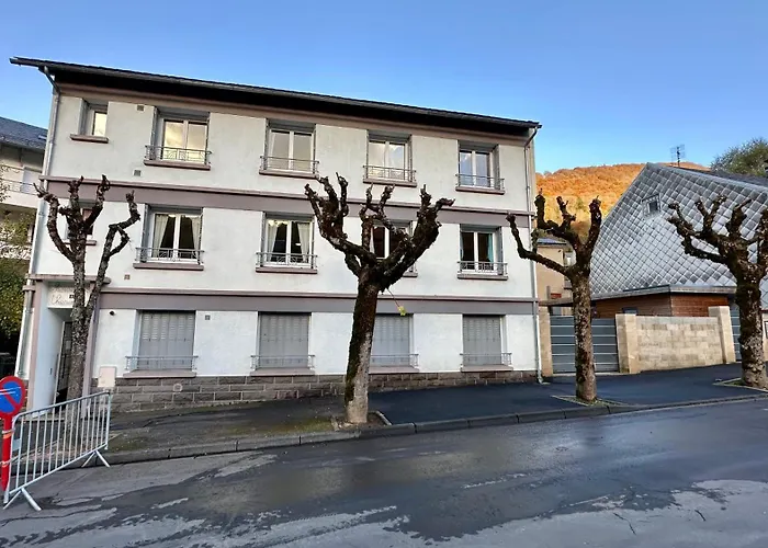 Le Therminus 42 - Le Dore 8pers